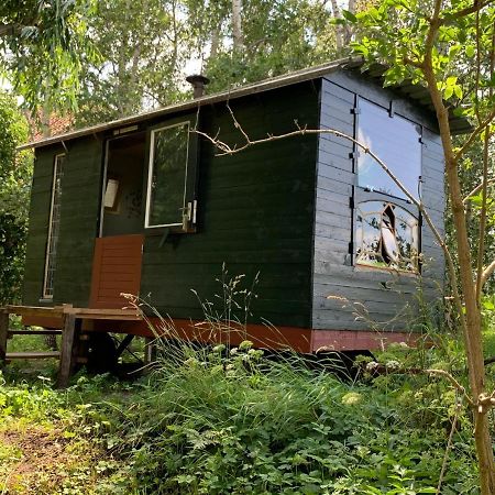 Pipo-wagen De Veenborgh Veendam Buitenkant foto